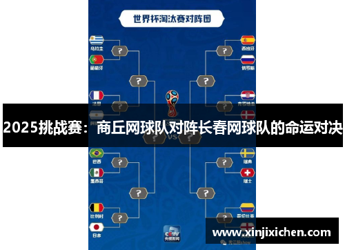 2025挑战赛：商丘网球队对阵长春网球队的命运对决